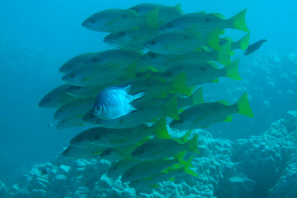 %_tempFileNameIMG_7028%