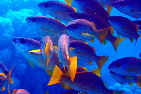 %_tempFileNameIMG_7029%