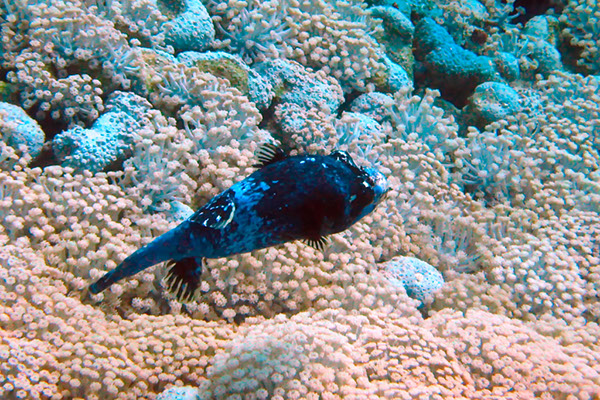 %_tempFileNameIMG_7031%