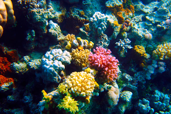 %_tempFileNameIMG_7032%