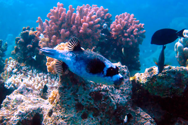 %_tempFileNameIMG_7035%