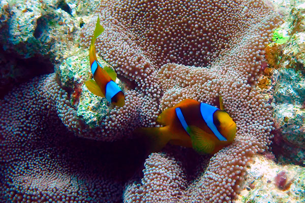 %_tempFileNameIMG_7040%