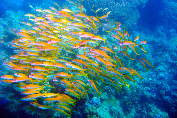 %_tempFileNameIMG_7045%