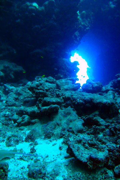 %_tempFileNameIMG_7054%