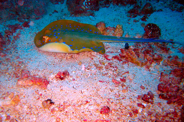 %_tempFileNameIMG_7055%