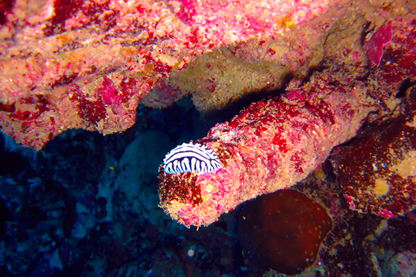 %_tempFileNameIMG_7057%