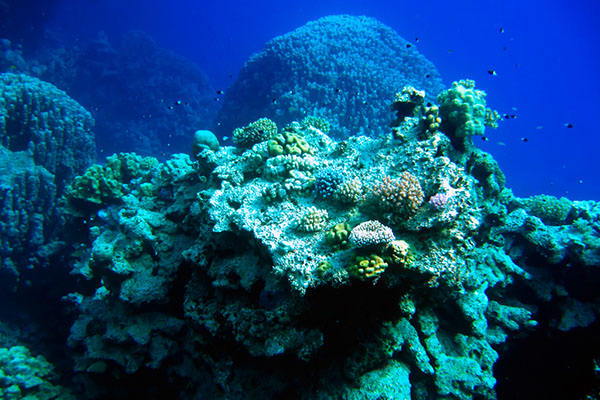 %_tempFileNameIMG_7058%