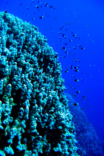 %_tempFileNameIMG_7061%