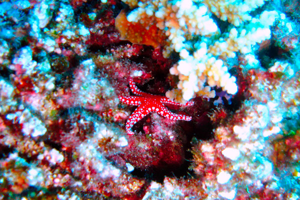 %_tempFileNameIMG_7062%