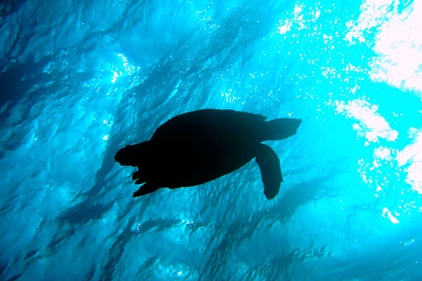 %_tempFileNameIMG_7063%