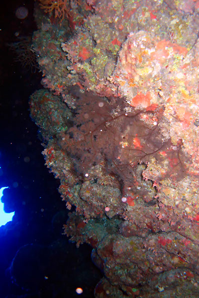 %_tempFileNameIMG_7083%