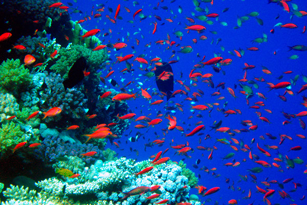 %_tempFileNameIMG_7103%