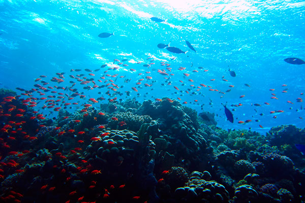 %_tempFileNameIMG_7104%