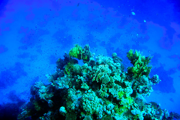 %_tempFileNameIMG_7106%