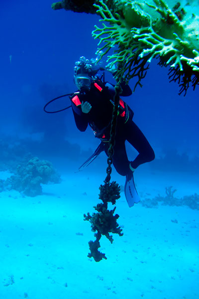 %_tempFileNameIMG_7109%