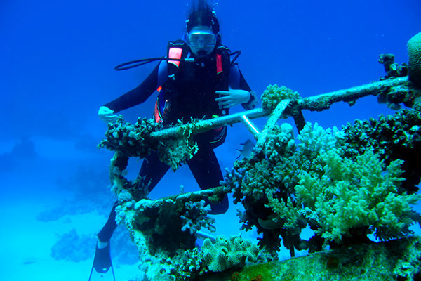 %_tempFileNameIMG_7110%