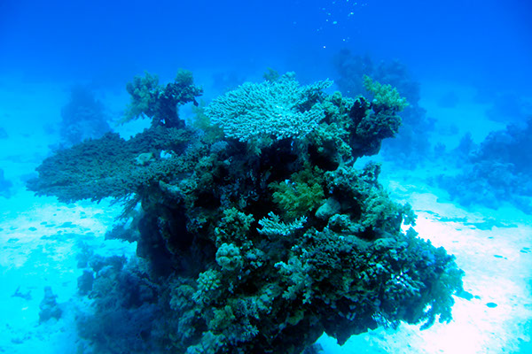 %_tempFileNameIMG_7117%