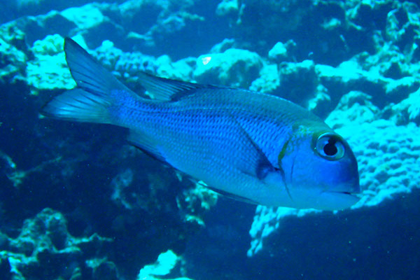 %_tempFileNameIMG_7123%