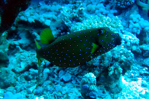 %_tempFileNameIMG_7127%