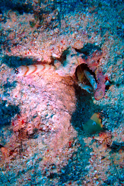 %_tempFileNameIMG_7134%