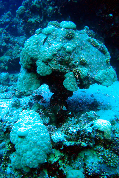 %_tempFileNameIMG_7145%