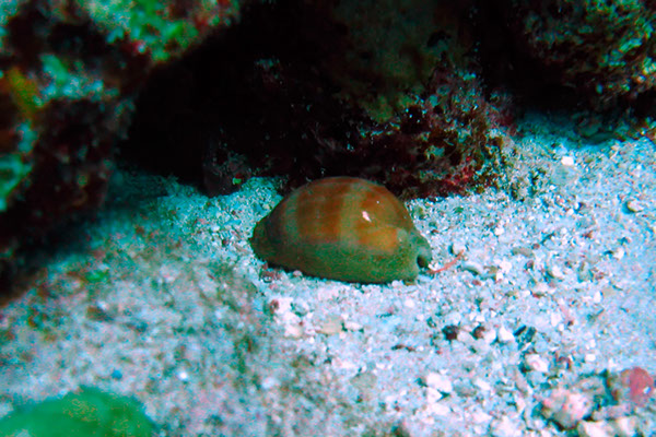 %_tempFileNameIMG_7147%