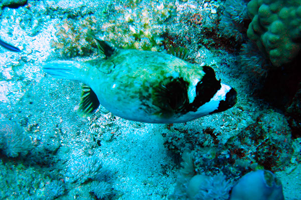 %_tempFileNameIMG_7149%