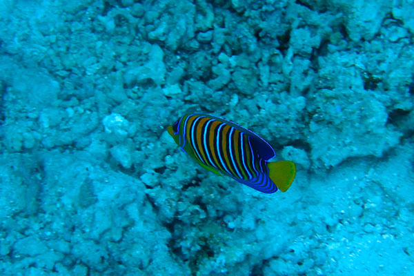 %_tempFileNameIMG_7152%