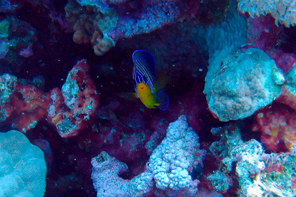 %_tempFileNameIMG_7153%