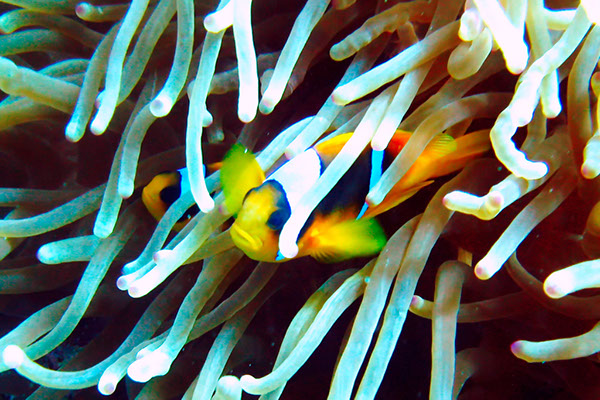 %_tempFileNameIMG_7154%