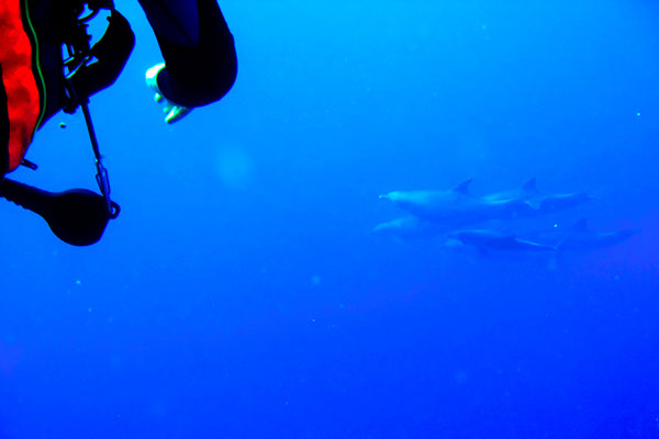 %_tempFileNameIMG_7156%