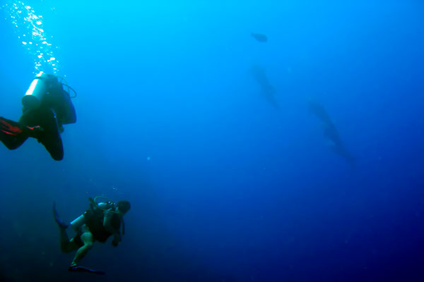 %_tempFileNameIMG_7157%