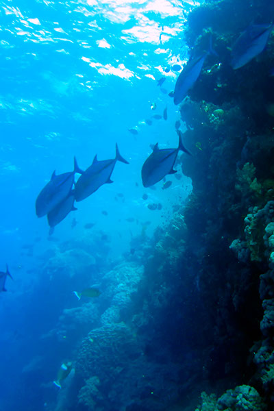 %_tempFileNameIMG_7158%