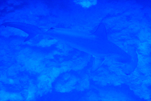 %_tempFileNameIMG_7164%