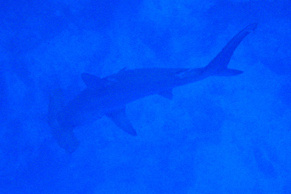 %_tempFileNameIMG_7168%