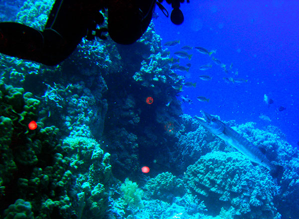 %_tempFileNameIMG_7175%