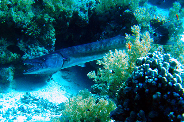 %_tempFileNameIMG_7179%