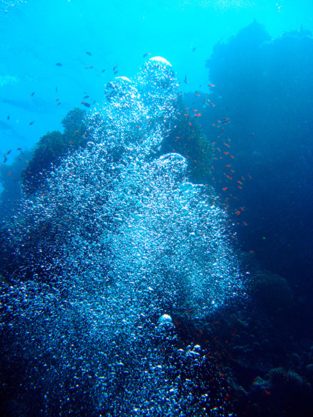 %_tempFileNameIMG_7184%