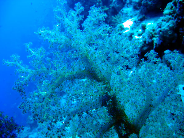 %_tempFileNameIMG_7189%