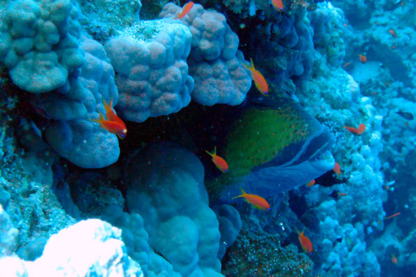 %_tempFileNameIMG_7191%