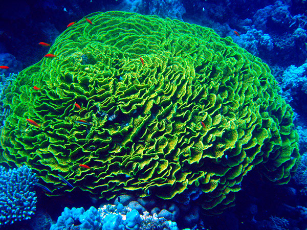 %_tempFileNameIMG_7194%