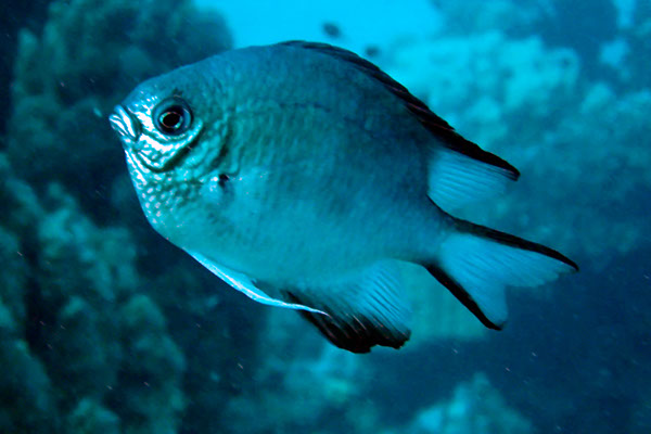 %_tempFileNameIMG_7198%