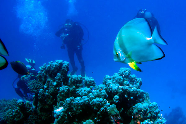 %_tempFileNameIMG_7203%