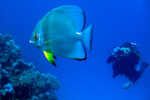 %_tempFileNameIMG_7204%