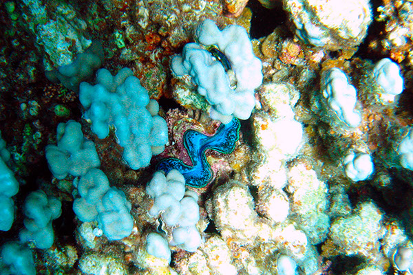 %_tempFileNameIMG_7209%