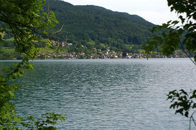 IMGP0264