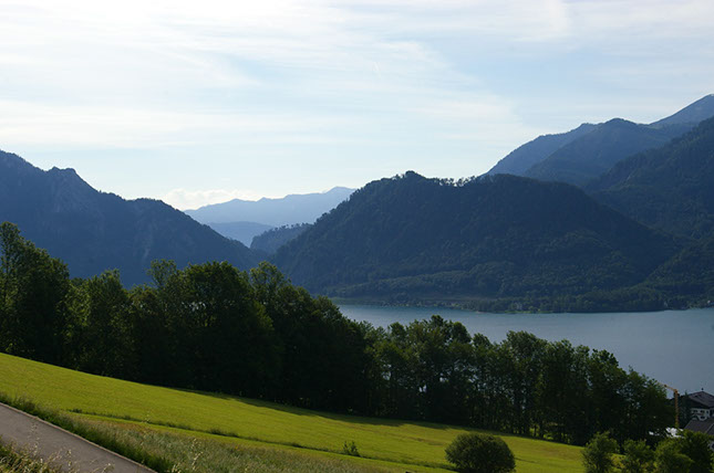 IMGP0253