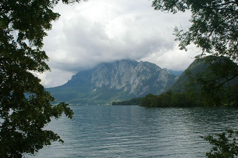 IMGP2311