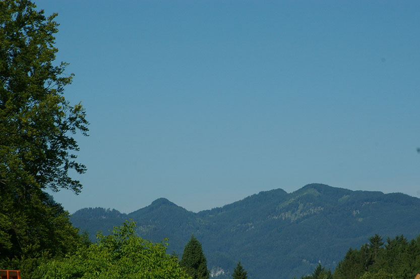 IMGP2401