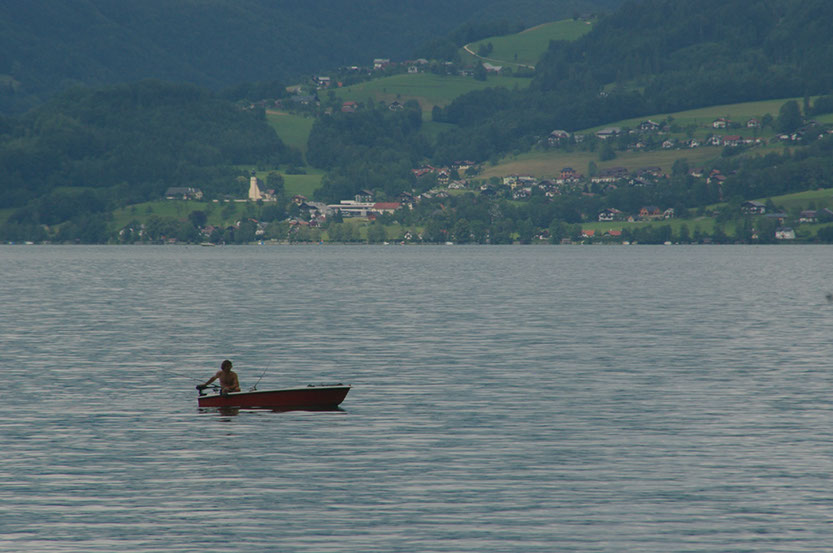 IMGP2315
